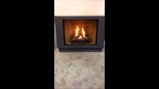 Ortal Fireplace