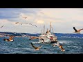 Karaindrou Eleni - By the sea| Istanbul Sabahlari