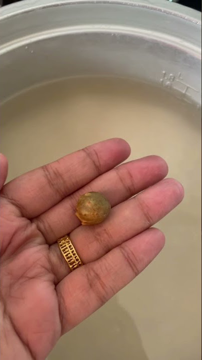 CARA MAKAN MANJAKANI UNTUK WANITA