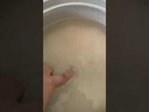 Cara Minum Jamu Manjakani