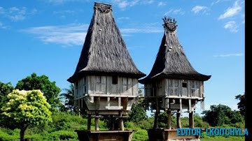 WA STATUS TIMOR LESTE