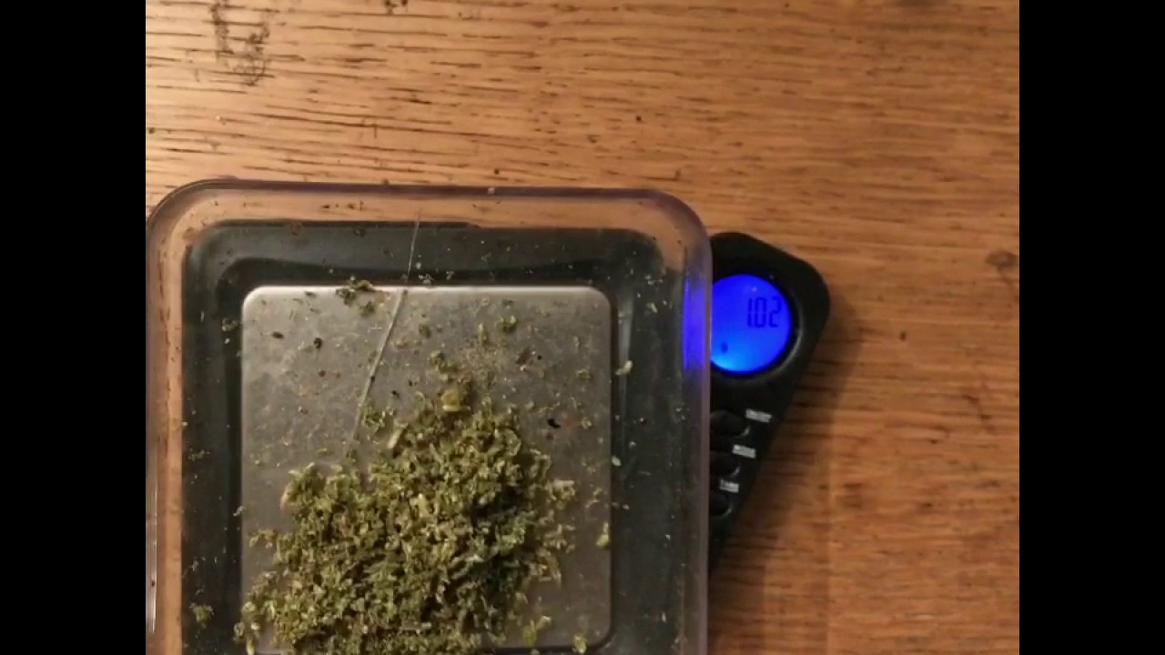One gram weed bowl smoked in one hit YouTube