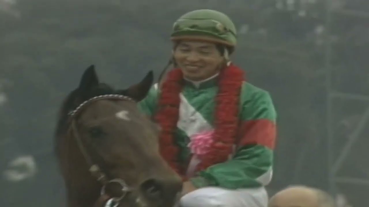 1985年 有馬記念 シンボリルドルフvsミホシンザン - YouTube
