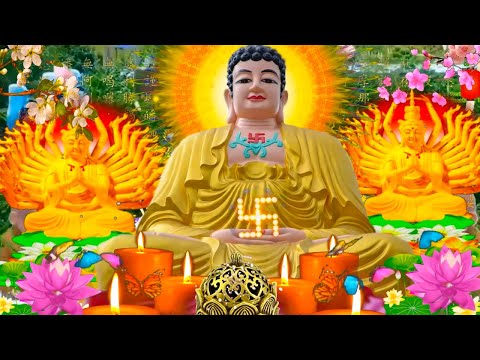 Video Ngày 12 Nghe Kinh Này