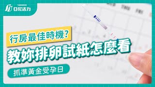 排卵試紙怎麼用？一分鐘學會準確抓出你的排卵日 