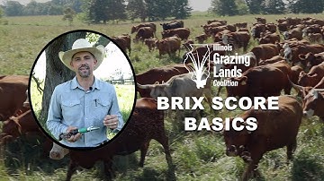 How To Take Forage Brix Test