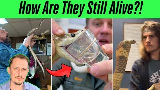 Celebrity Zoologist Reacts to More INSANE Venomous Snake TikToks! Profile
