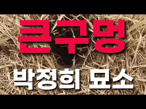 박정희 <strong>묘소</strong> &amp;quot;큰 구멍&amp;quot; 발견