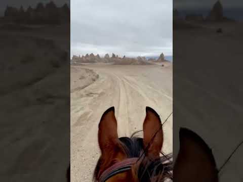 Riding Jazz to the Trona Pinnacles in the Fire Mt. 55-mile endurance race