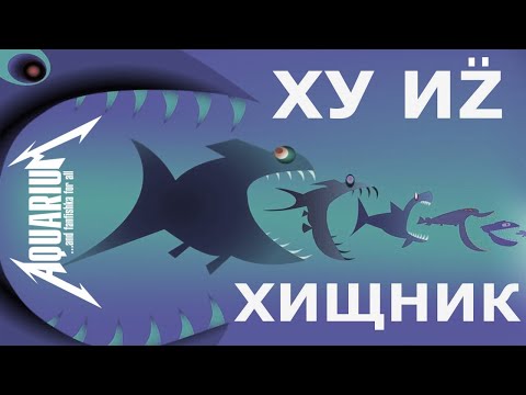 Хищные аквариумные рыбки. Рубим правду-матку!