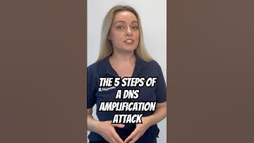 The Anatomy of a DNS Amplification Attack