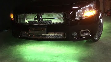 Nissan Maxima Custom LED Underglow Lighting
