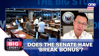 Senators have no ‘break bonus’ — Gatchalian