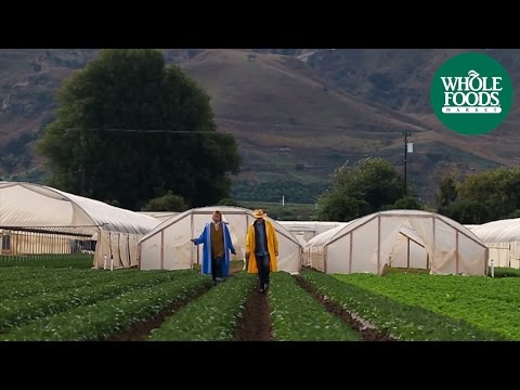 Video: Verkauft Whole Foods Shishito-Paprika?