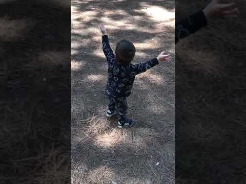 Geceler Geceler Zalim Geceler 