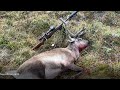 Aavarneq 2020 - Rensdyrjagt 2020 - Reindeerhunting 2020, Trip 2