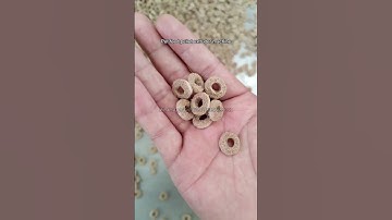 Streamline Pet Food Production with our State-of-the-Art Feed Pellet Extruder Machine