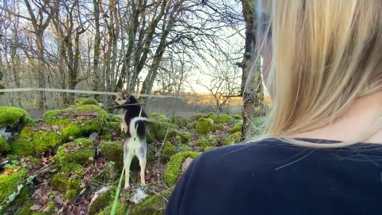 @LisaCairns — Какой смысл просыпаться? Разве это вообще имеет значение? (Оригинальное видео: 17/1...