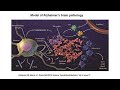 APOE TREM and Microglia in the Pathogenesis of Tau-mediated Neurodegeneration with David Holtzman MD