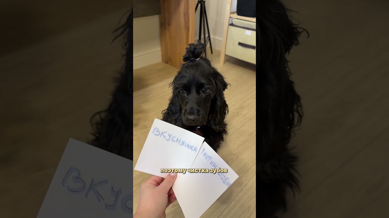 Зубной гель для животных 