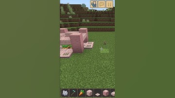 Minecraft Rabbit Trap 🐇 #Minecraft #viral