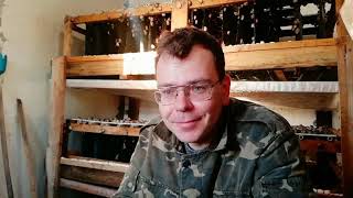 видео: Обо всем по чуть-чуть, торф, сбор икры и пр. | Улиточная ферма, Royal Snail | Helix Aspersa Muller | картинка: Обо всем по чуть-чуть, торф, сбор икры и пр. | Улиточная ферма, Royal Snail | Helix Aspersa Muller |
