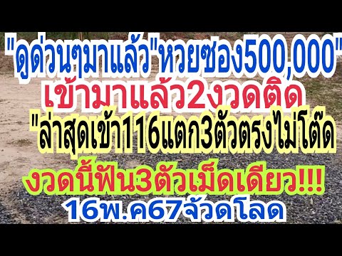 ดูด่วนๆมาอล้ว#หวยซอง500,000#เข้ามาอล้ว2งวดติดล่าสุดเข้า116แตก3ตัวตรงไม่ต้องโต๊ด16พ.ค67ฟันแล้ว