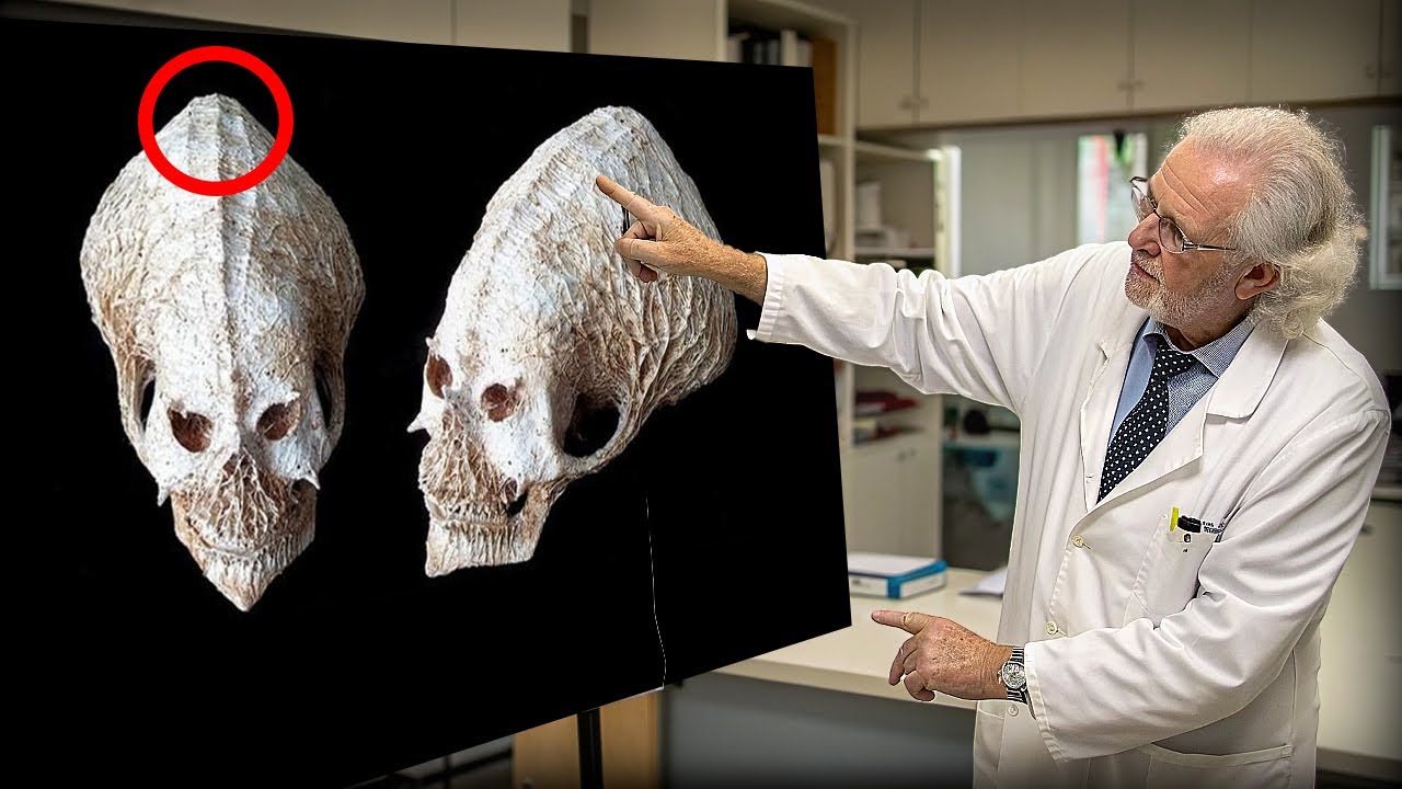 Археологи нашли черепа в храме Гёбекли-Тепе, изучив их учёные потеряли дар речи…
