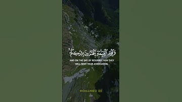 إن تدعوهم لا يسمعوا دعاءكم ولو سمعوا ما استجابوا لكم ( #سورة_فاطر ) 🤲🤍