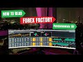 The Forex Factory SECRET to Reading Fundamentals Like a PRO!