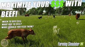 Farming Simulator 25: HOW MUCH MONEY DO BEEF CATTLE MAKE? Maximize Your Profits!
