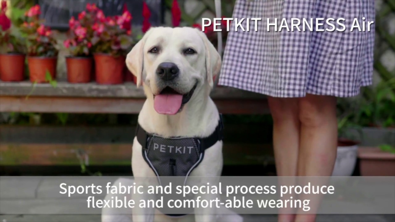 Arnés anti tirones Petkit