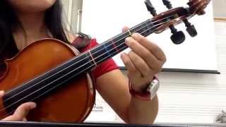 Oak Hollow practice violin