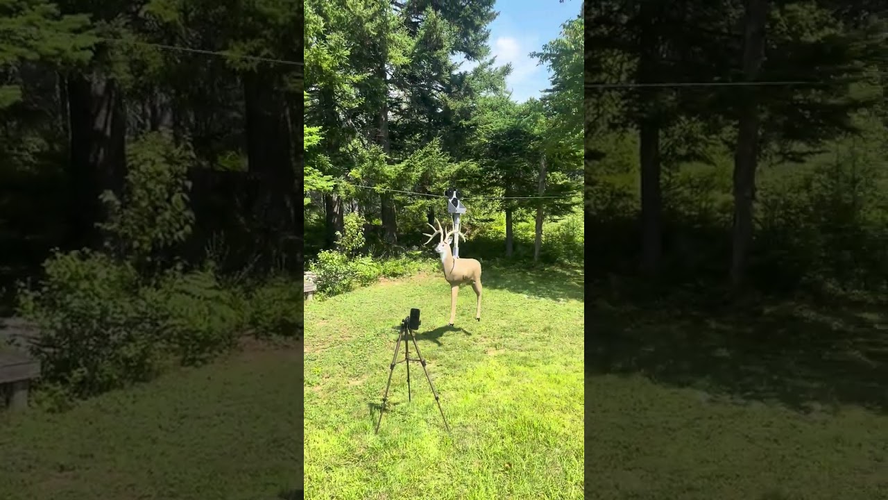 Remote-Controlled Deer Target