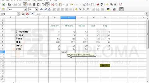 Navigate to cell E11 of the SALES worksheet and use the appropriate function to display the sum...