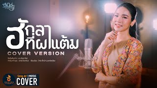 ฮักลาที่ผาแต้ม - หนิงๆ คำพะนาง【COVER VERSION】Original : ฝน ลัดดาวัลย์