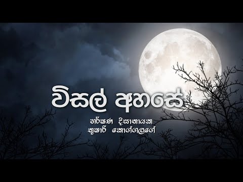 Visal Ahase | විසල් අහසේ | Harshana Dissanayake