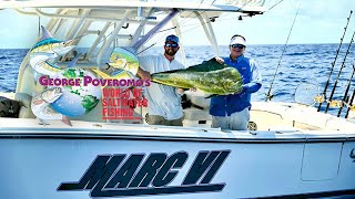 Take a poll on the most sought after game fish in florida keys, and
dolphin will surely top list. this action-packed highly-educational
episod...