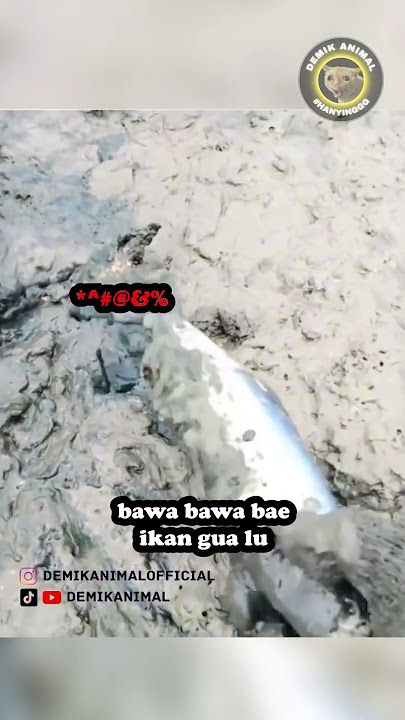 DI BUNGKAM #shorts
