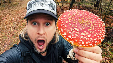 What happens if you eat raw fly agaric?