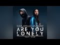 Steve Aoki Alan Walker Feat ISAK Are You Lonely Official Audio Steve Aoki Alan Walker Feat ISAK Are You Lonely Official Audio