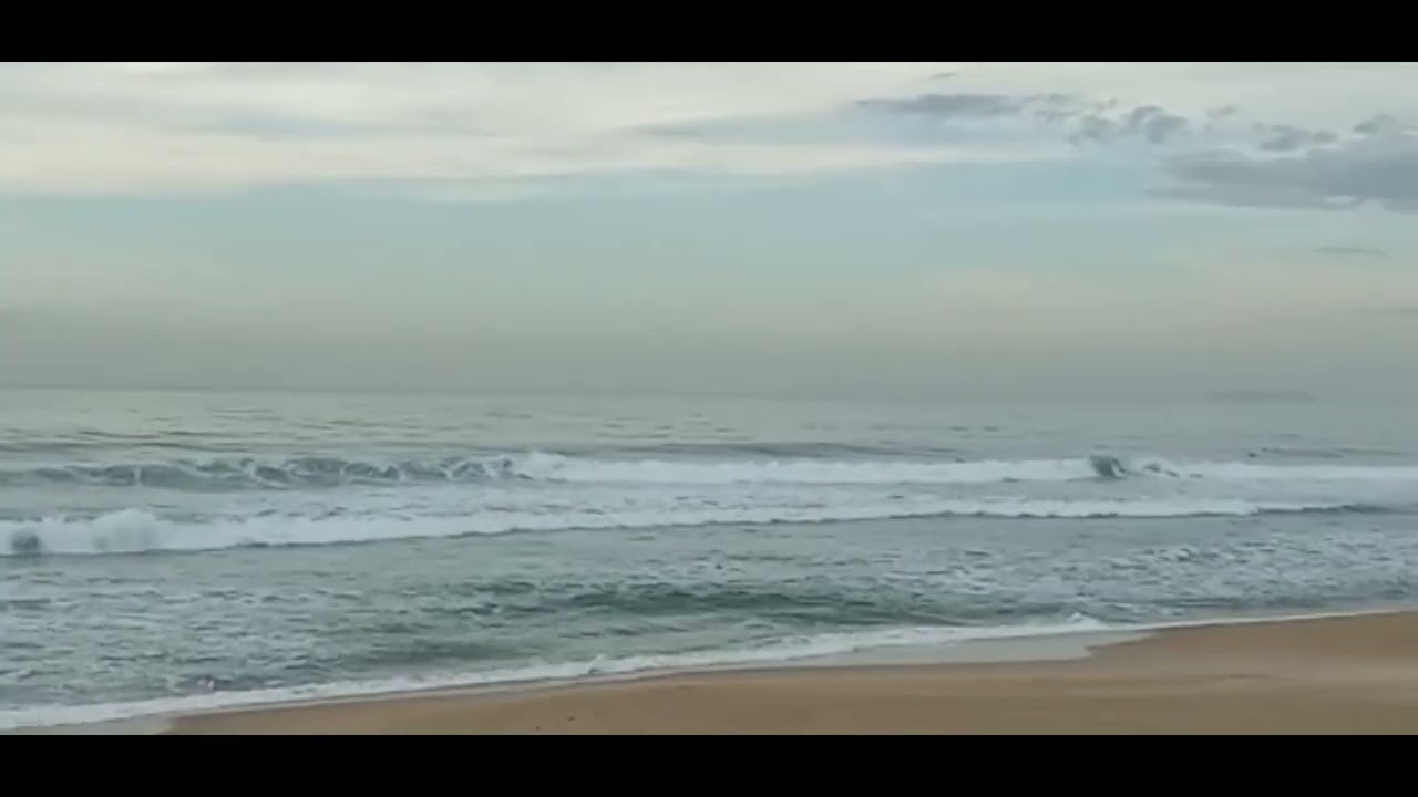Vídeo Boletim OndasdoSul de SC Moçambique por @shorelinesurfskate