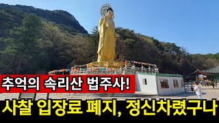 살아난 속리산 상권, 시골땅에 천지개벽 발생!