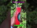 Why Buy Expensive Braided Fishing Line  Hindi
