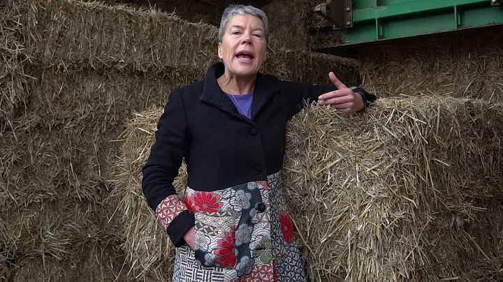 Helen Browning - Pigs in an organic system