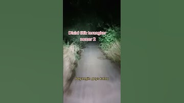 pulang kerja nekat lewat jalan terdekat #jalanangker #pulangkerja #angker