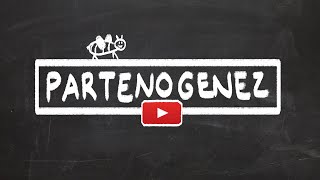 Arılar Nasıl Ürerler? - Partenogenez Sesli Anlatım
