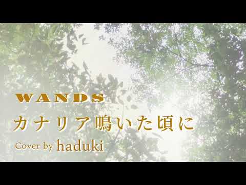 『WANDS』 カナリア鳴いた頃に 『歌ってみた』 （Cover by haduki）再録 #WANDS #カナリア鳴いた頃に #cover