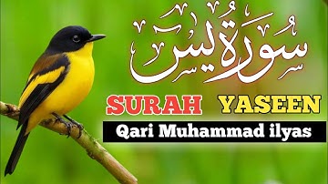 Surah Yasin (Yaseen) Full | سورة يسSurah Yasin Full |تلاوةرائعة لسورة يس |Beautiful Quran