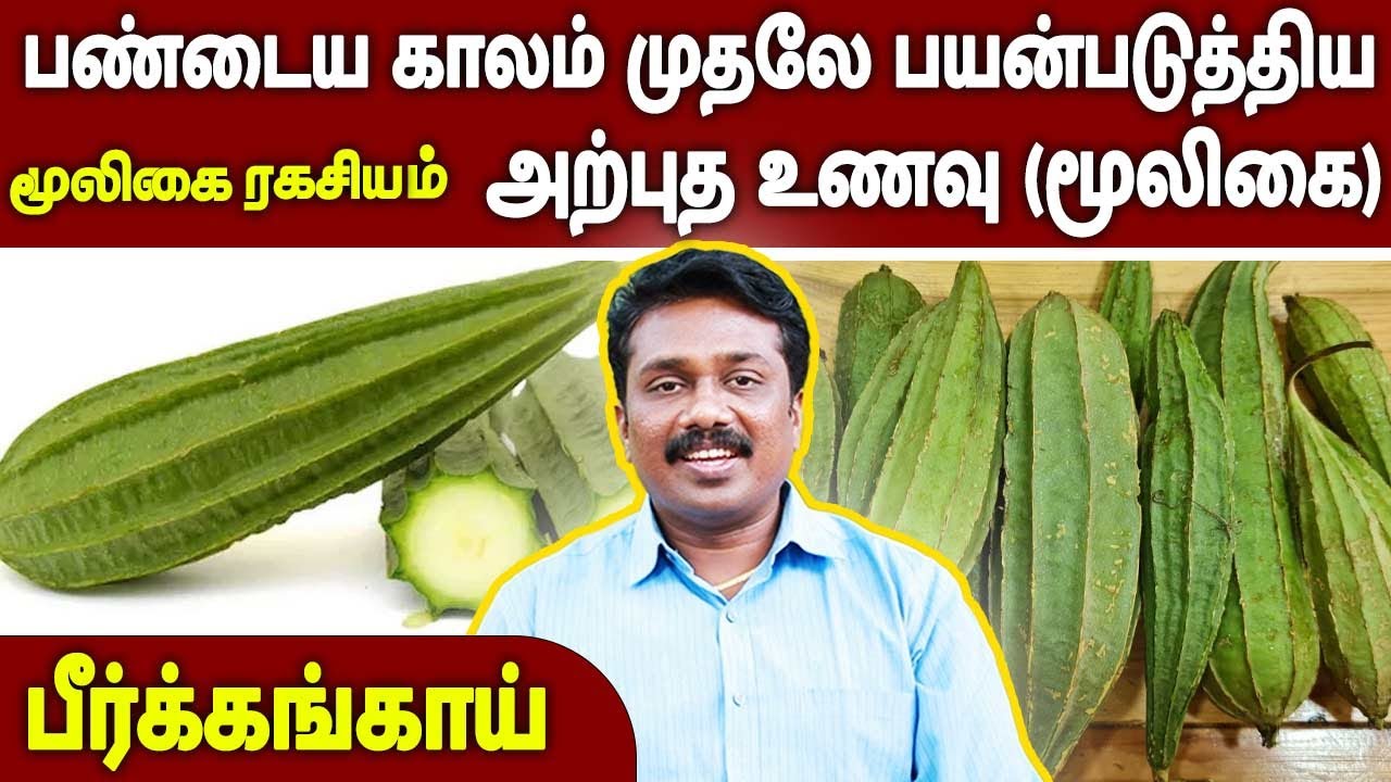 பண்டைய காலம் முதலே பயன்படுத்திய அற்புத உணவு (மூலிகை) | Dr.Sugumar | Mooligai Ragasiyam | 